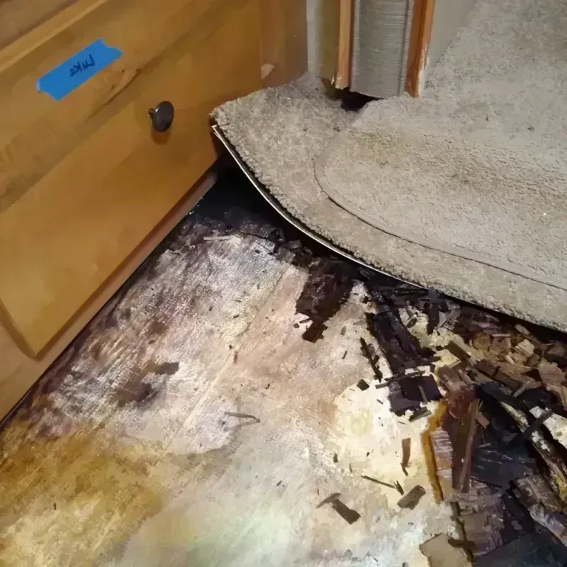 Wood Floor Water Damage in Blackhawk, SD